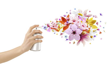 Flower-scented room sprays and flowers from inside Royalty Free Stock Photo